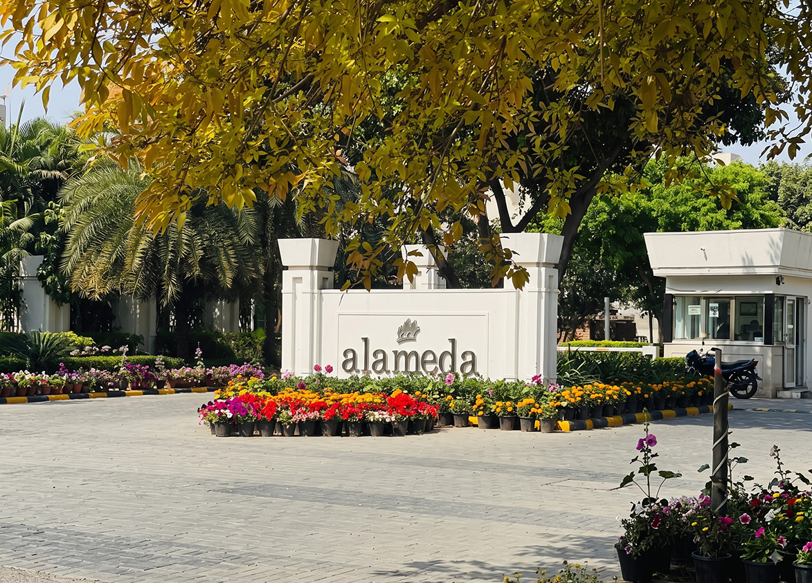 DLF Alameda