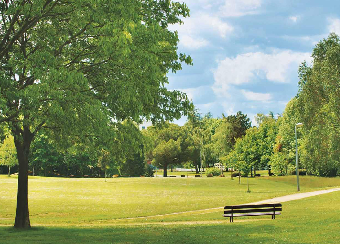DLF Skycourt in Sector 86 Gurgaon Central Green Park