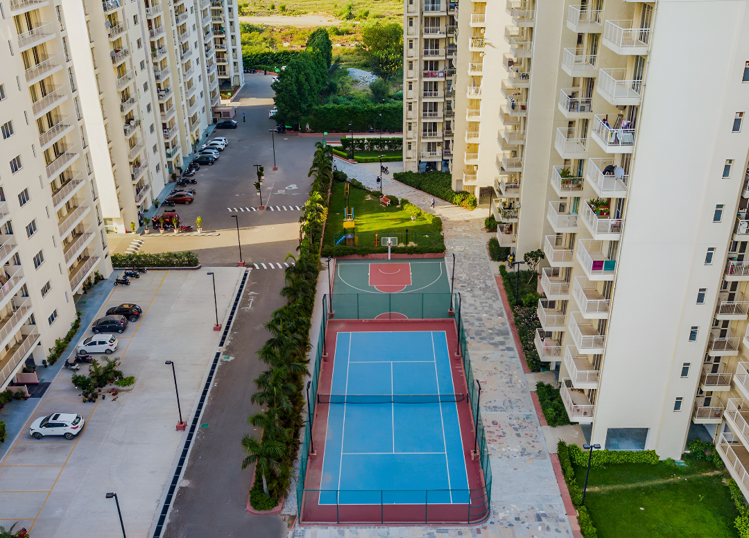 SS The Coralwood Sports Area