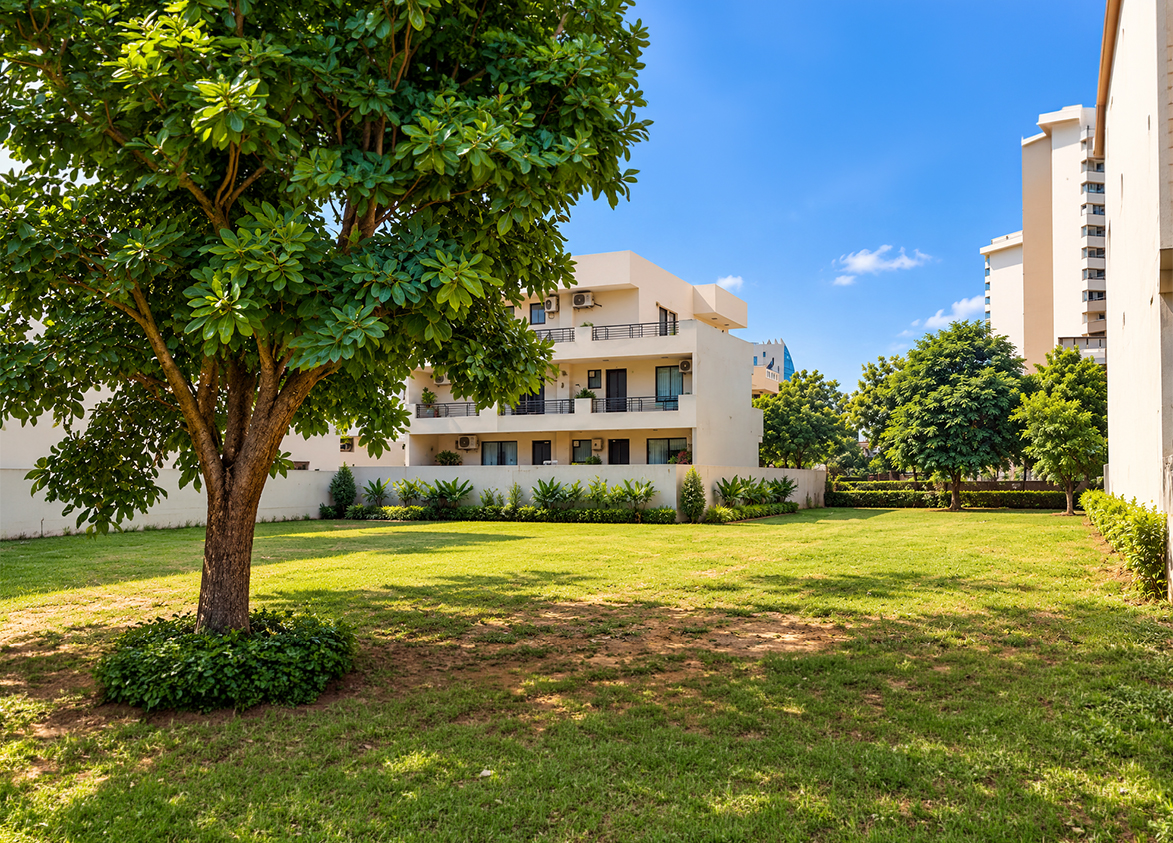 Suncity Plots
