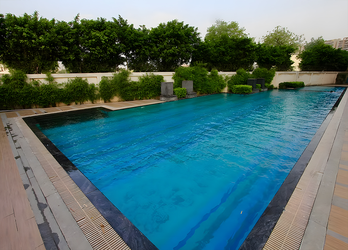 Tulip Purple Swimming Pool