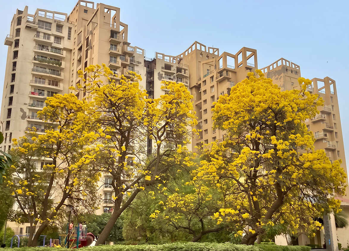 Unitech Escape Green Area